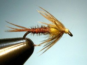 McGee’s Transition Flymph