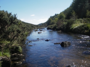 below Belever Bridge on Dartmoor