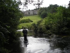 River Bovey
