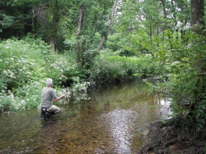river Bovey