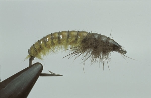 hans van klinken caseless cadis