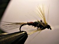 cruncher