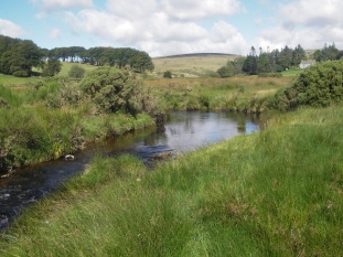 Dart above Postbridge