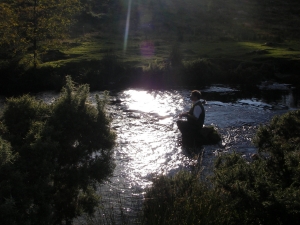 a summer's evening on Dartmoor