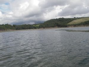 river estuary