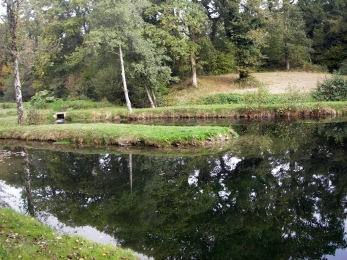 'peninsula' at Hatchlands