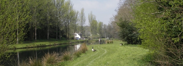 Hatchlands Trout Farm