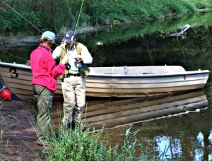 explaining AFTM numbers