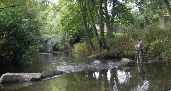 River Lyd Sydenham beat