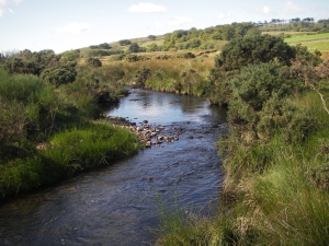 Dartmoor river