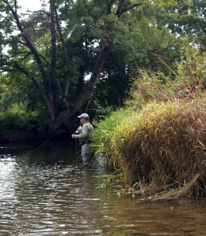 roll cast against vegetation