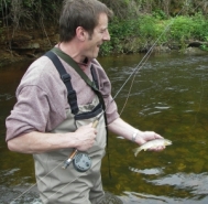 Dartmoor river trout
