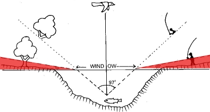 trout's restricted view of objects on bank