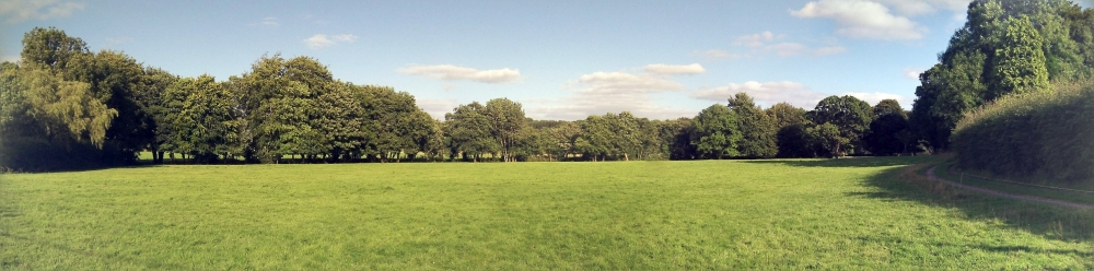 lower beat meadow