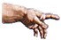 Here is a 