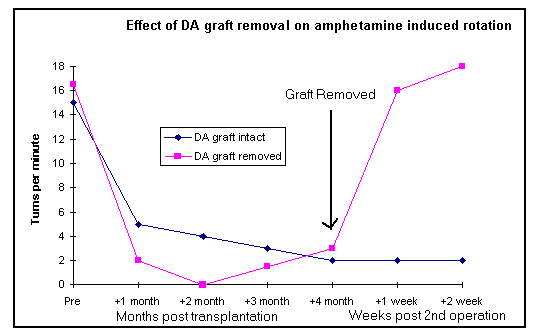 Destruction of the DA cells in the graft reinstated the initial rotation asymmetry