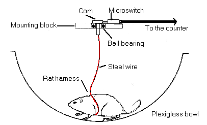 rotometer a device to record circling behaviour in rats