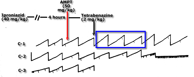 the effect of alpha-methyl-para-tyrosine (AMPT) on responding in MAOI+TBZ treated animals