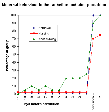 Maternal behaviour before and after parturition