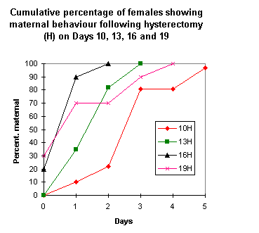 Maternal behaviour after hysterectomy