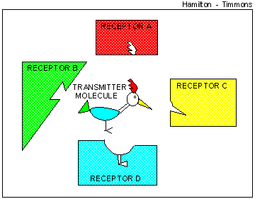 receptor concept