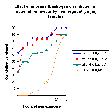 anosmia and maternal behaviour
