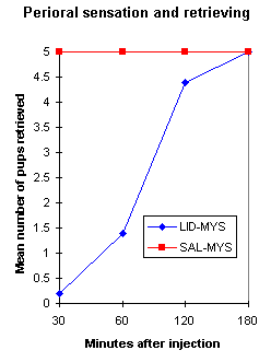 anapsis and maternal behaviour