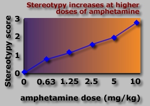 Relationship between Stereotypy Scores and amphetamine dose
