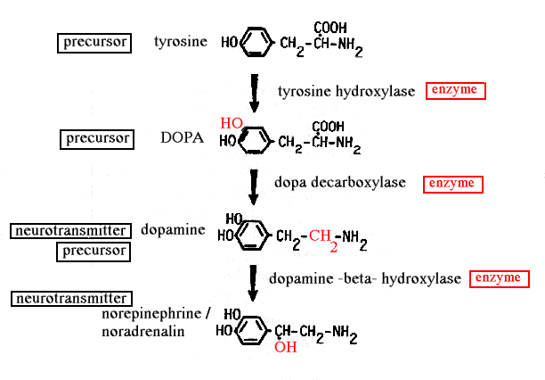 Mental illness thesis ideas image