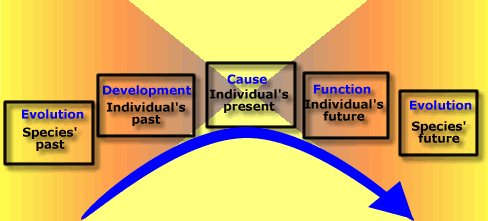 4_questions_diagram.gif (22910 bytes)