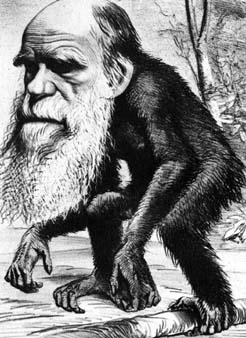 darwin-ape.jpg (33146 bytes)